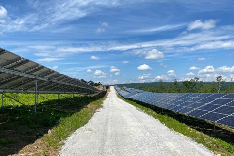 Grounded solar panels by side of the road