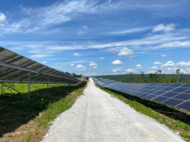 Grounded solar panels by side of the road